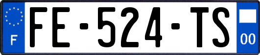 FE-524-TS