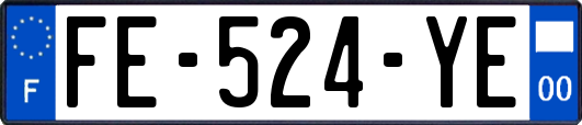 FE-524-YE