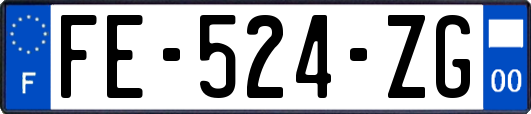 FE-524-ZG