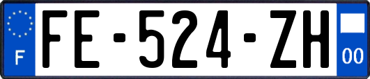 FE-524-ZH