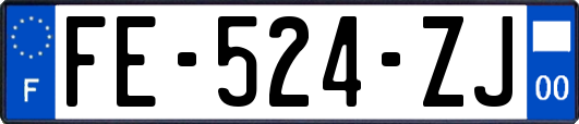 FE-524-ZJ