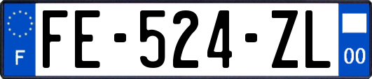 FE-524-ZL