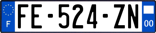 FE-524-ZN