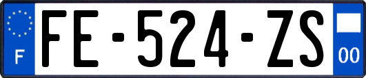 FE-524-ZS