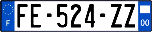 FE-524-ZZ