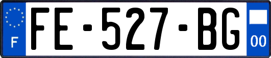 FE-527-BG