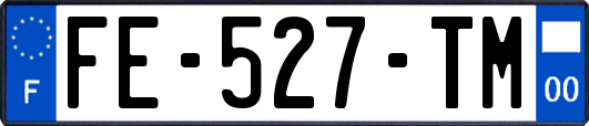FE-527-TM