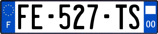 FE-527-TS