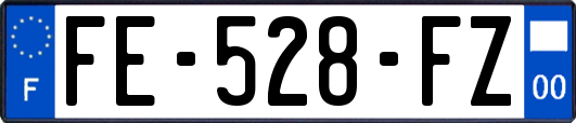 FE-528-FZ