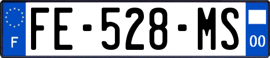 FE-528-MS