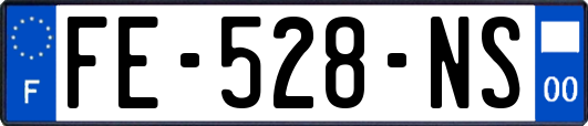 FE-528-NS