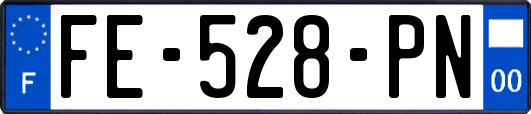 FE-528-PN