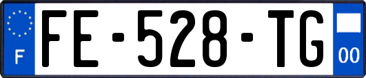 FE-528-TG