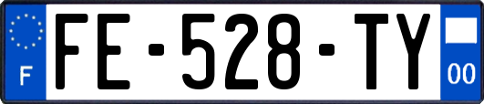 FE-528-TY