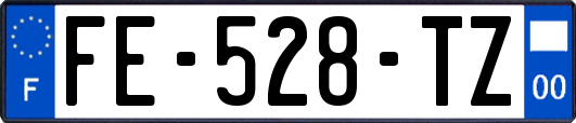FE-528-TZ