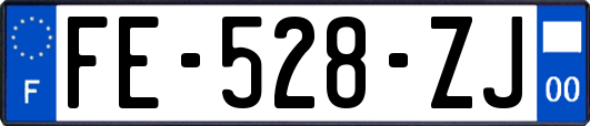 FE-528-ZJ