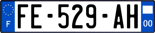 FE-529-AH