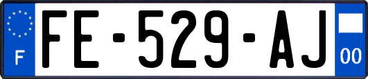 FE-529-AJ