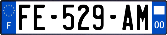 FE-529-AM