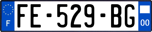 FE-529-BG