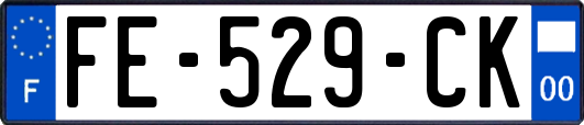 FE-529-CK