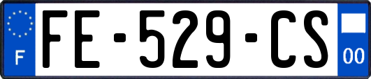 FE-529-CS