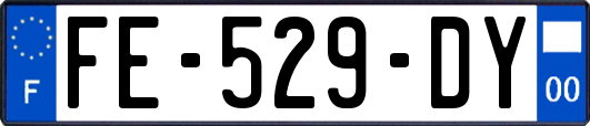 FE-529-DY
