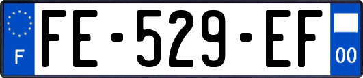 FE-529-EF