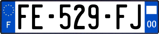 FE-529-FJ