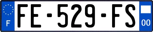 FE-529-FS