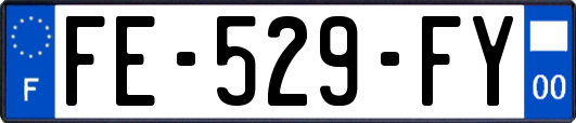 FE-529-FY