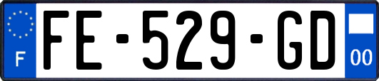FE-529-GD