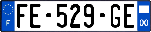 FE-529-GE