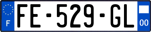 FE-529-GL