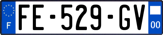 FE-529-GV