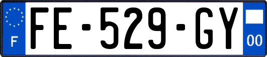 FE-529-GY