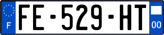 FE-529-HT