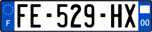 FE-529-HX