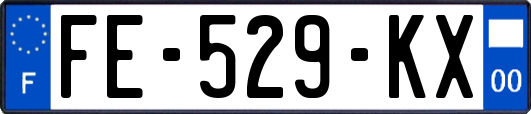 FE-529-KX