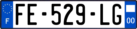 FE-529-LG