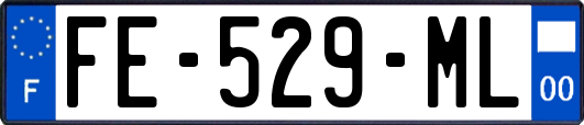 FE-529-ML