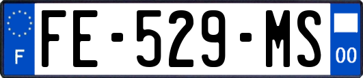 FE-529-MS