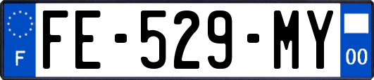 FE-529-MY