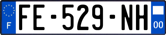 FE-529-NH