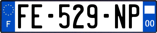 FE-529-NP