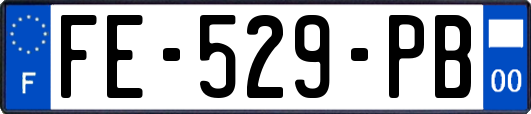FE-529-PB