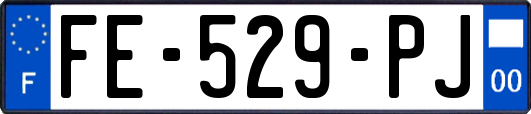 FE-529-PJ
