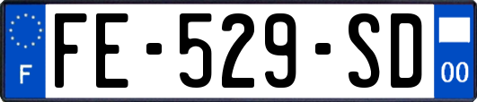FE-529-SD