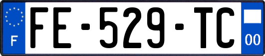 FE-529-TC