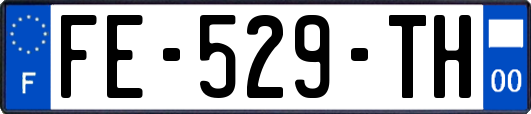 FE-529-TH